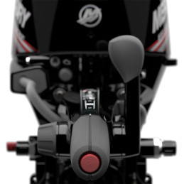 motor Mercury F 15 M - eje corto