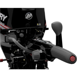 motor Mercury F 15 M - eje corto
